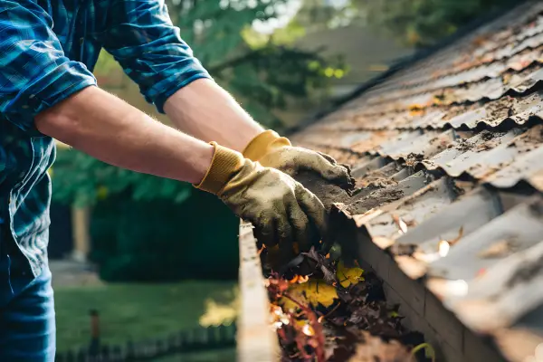 Gutter Cleaning & Repairs