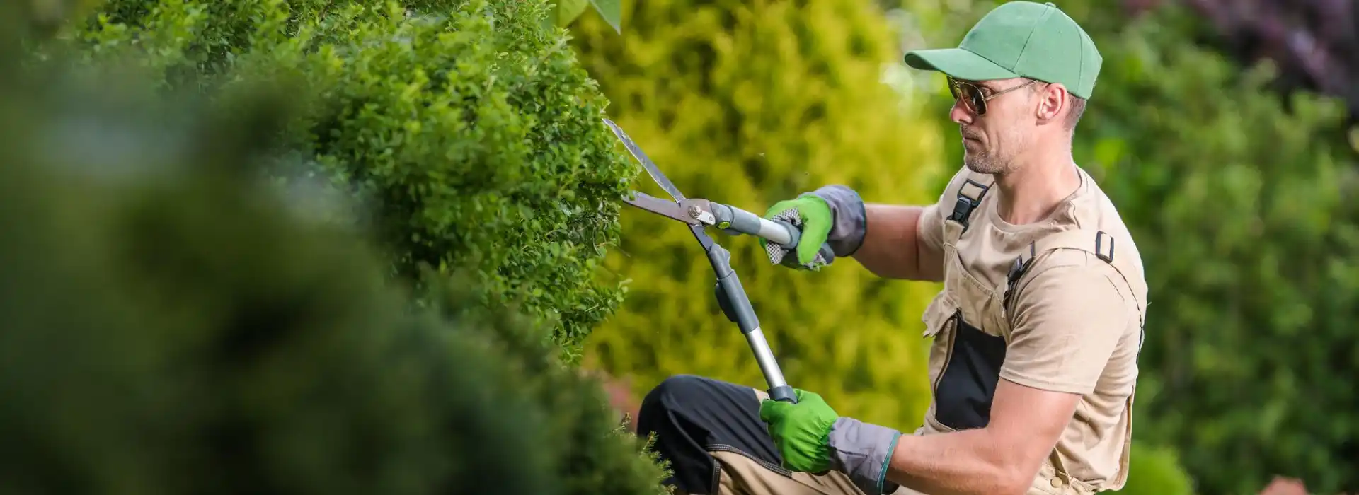 Expert Landscaping Services to Enhance Your Outdoor Living